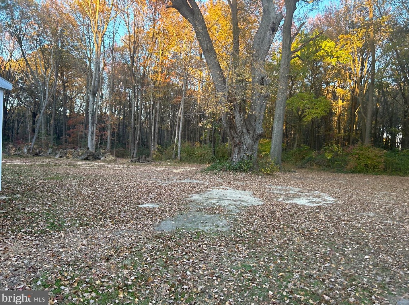 1978 Bayside Dr, Dover DE  19901-7185 exterior