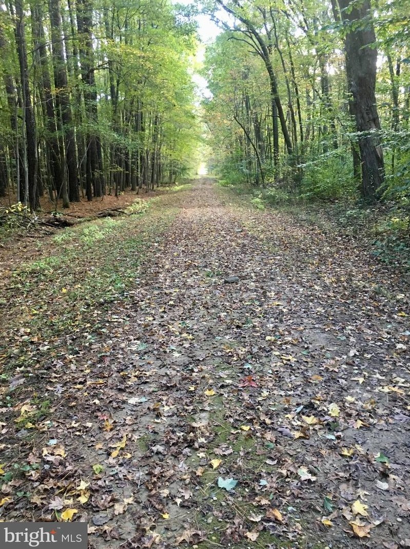 2200 Smyrna Leipsic Rd, Smyrna DE  19977-3015 exterior