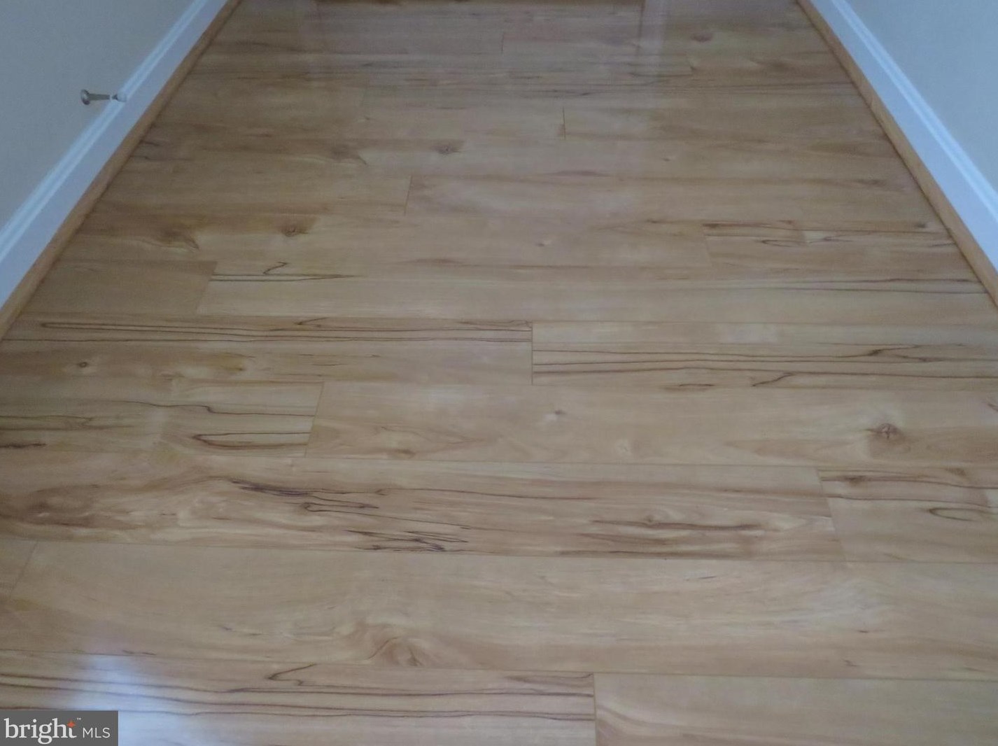 198 Planters Ln, Dover DE  19901-5880 exterior