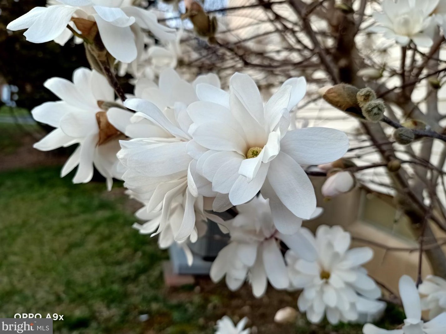 20 Staten Dr, Hockessin DE  19707-1338 exterior