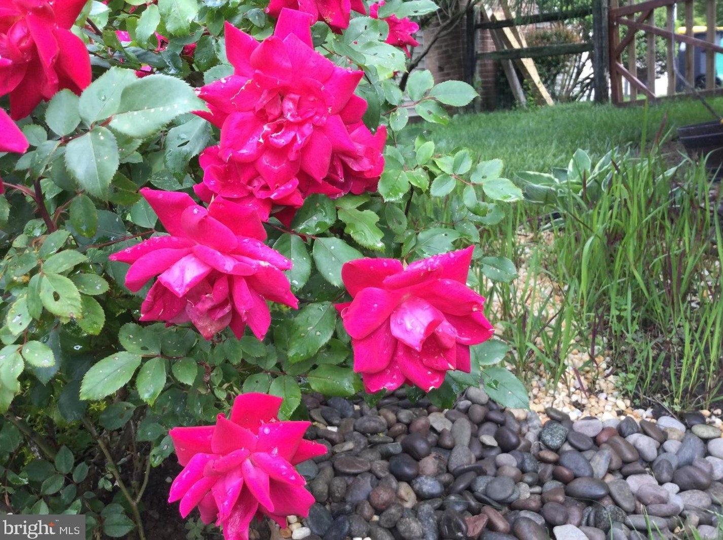 20 Staten Dr, Hockessin DE  19707-1338 exterior