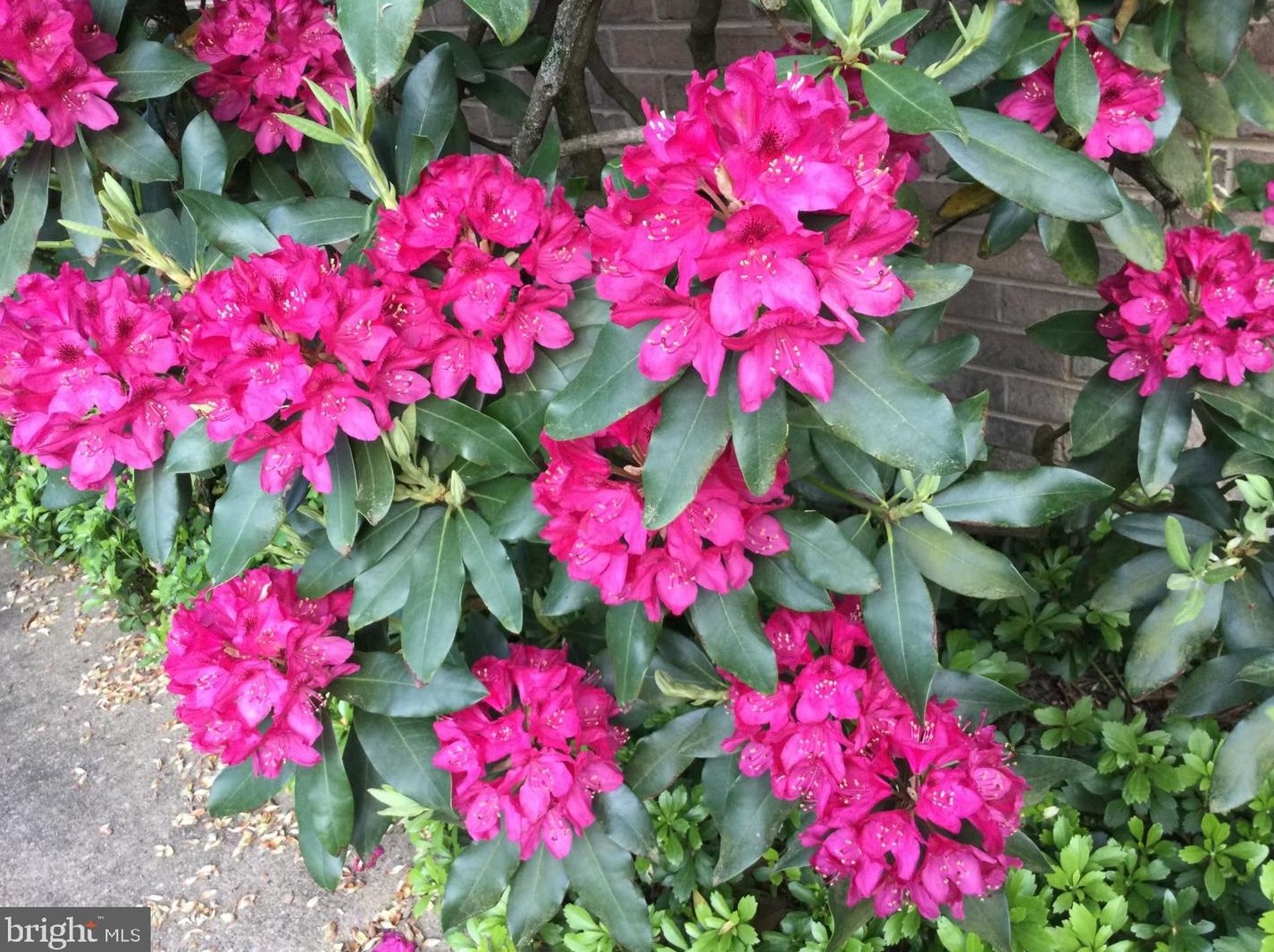 20 Staten Dr, Hockessin DE  19707-1338 exterior