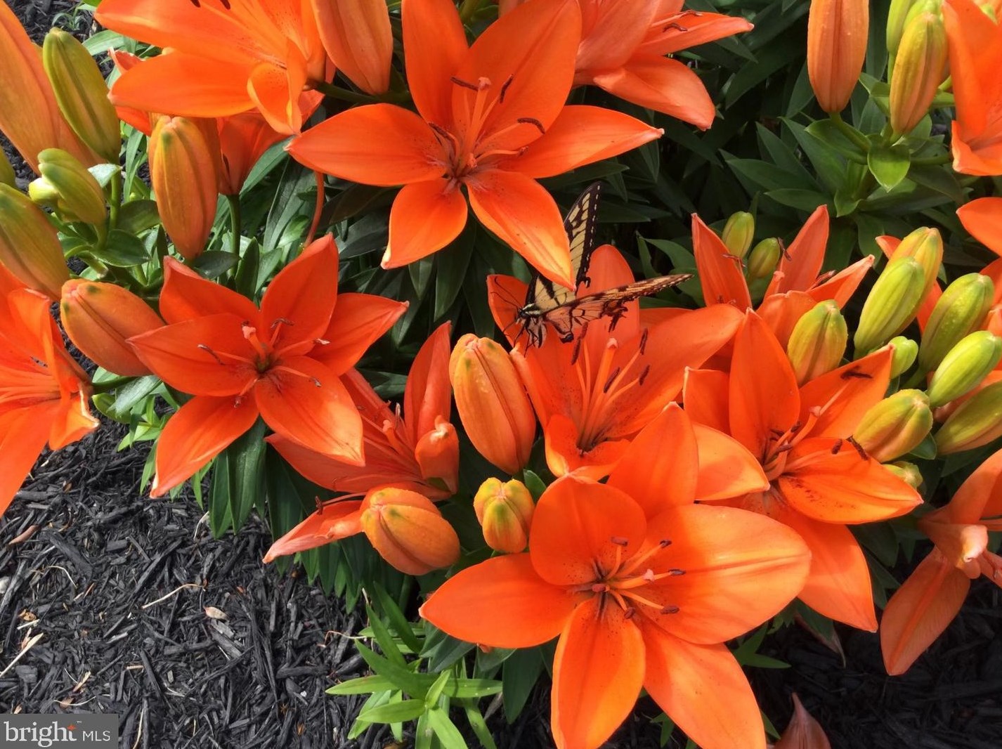 20 Staten Dr, Hockessin DE  19707-1338 exterior