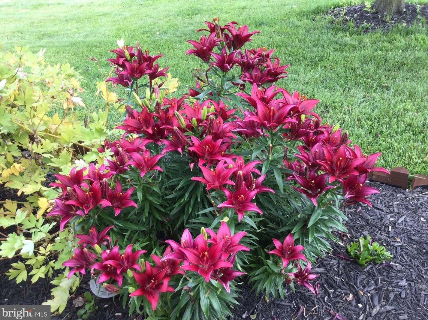 20 Staten Dr, Hockessin DE  19707-1338 exterior