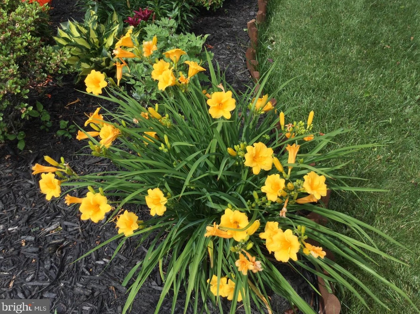 20 Staten Dr, Hockessin DE  19707-1338 exterior