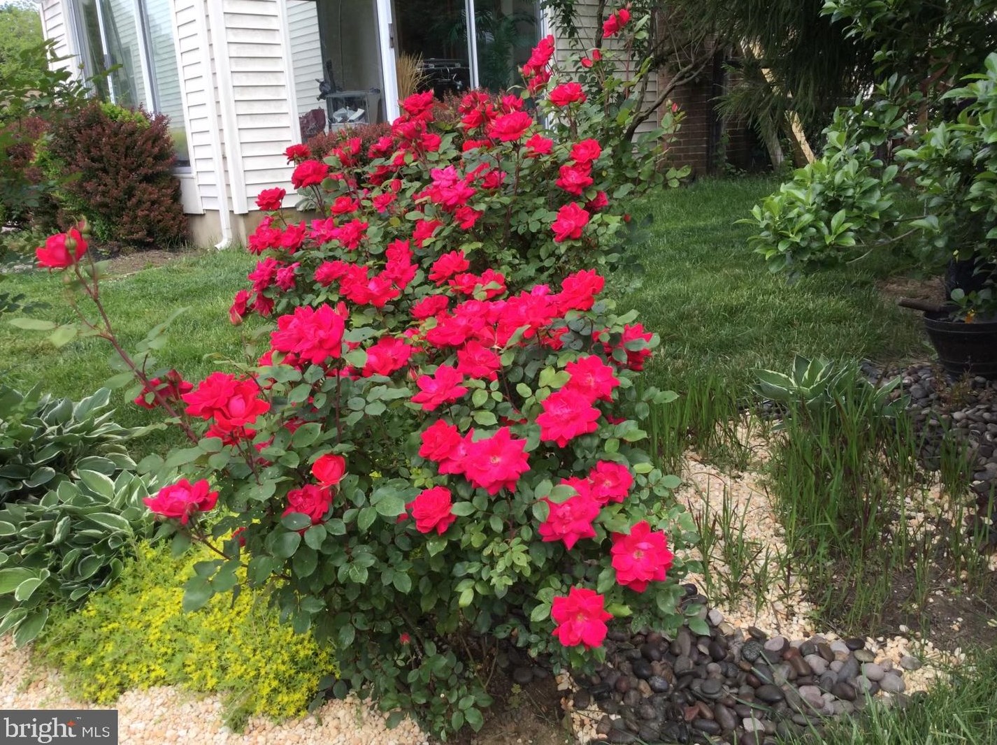 20 Staten Dr, Hockessin DE  19707-1338 exterior