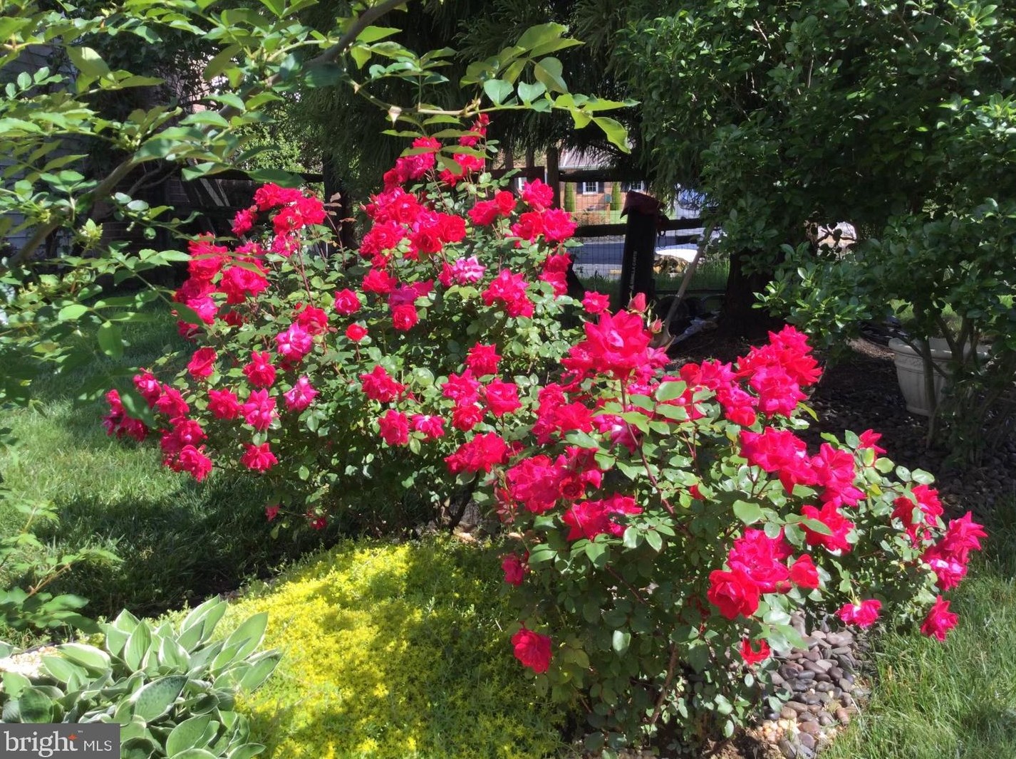 20 Staten Dr, Hockessin DE  19707-1338 exterior