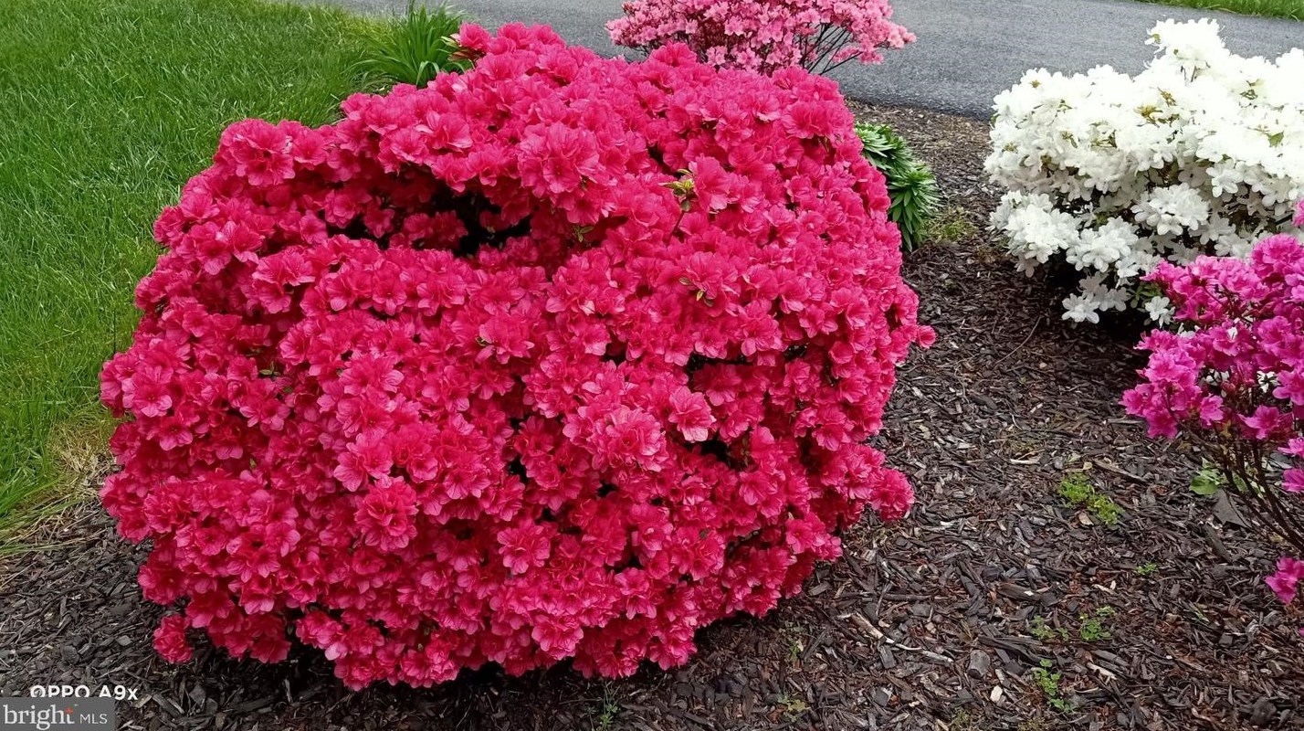 20 Staten Dr, Hockessin DE  19707-1338 exterior