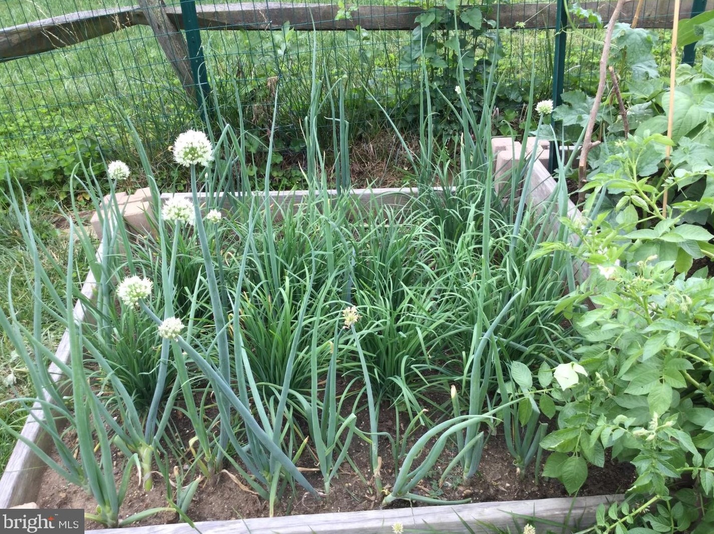 20 Staten Dr, Hockessin DE  19707-1338 exterior