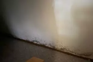 5 Ridgewood Dr, Hockessin, DE 19707 - Photo 21