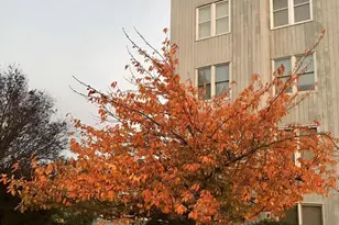 5219 Le Parc Dr, Wilmington, DE 19809 - Photo 3