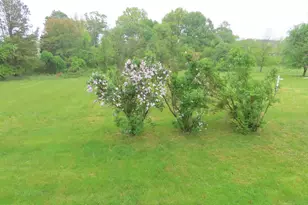 53 Buckwheat Run Rd, North East, MD 21901 - Photo 27