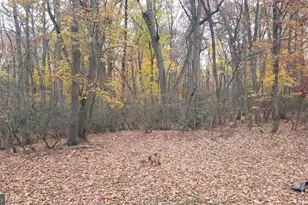 3929 Turkey Point Rd, North East, MD 21901 - Photo 15