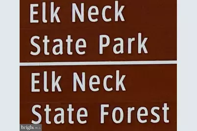 886 Turkey Point Road, North East, MD 21901 - Photo 13