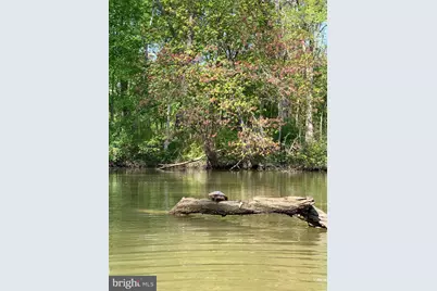 118 North East Isles Drive, North East, MD 21901 - Photo 45