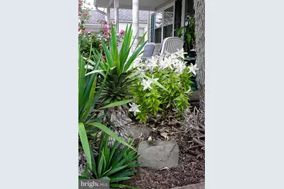 32 N Manor Avenue, Longport, NJ 08403 - Photo 9