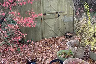 424 S Willow Ave, Absecon, NJ 08205 - Photo 21