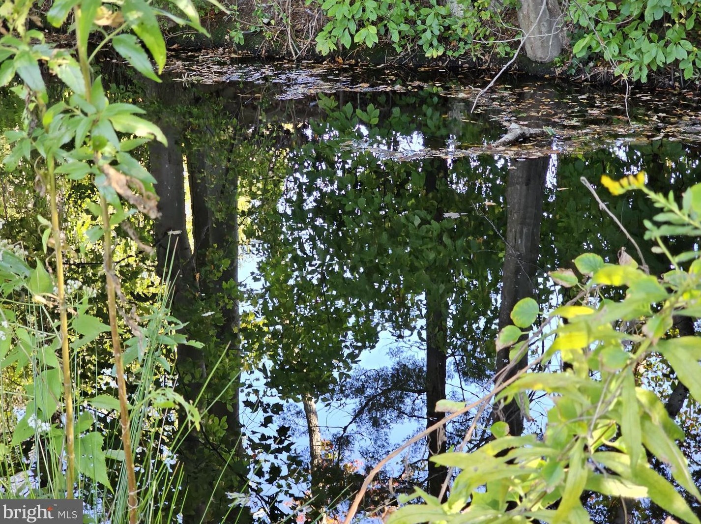 10 Andover Ct, Southampton NJ  08088-1323 exterior