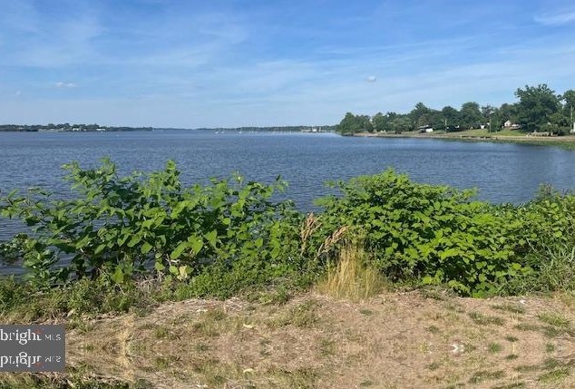 1010 Harbour Dr, Palmyra NJ  08065-1202 exterior