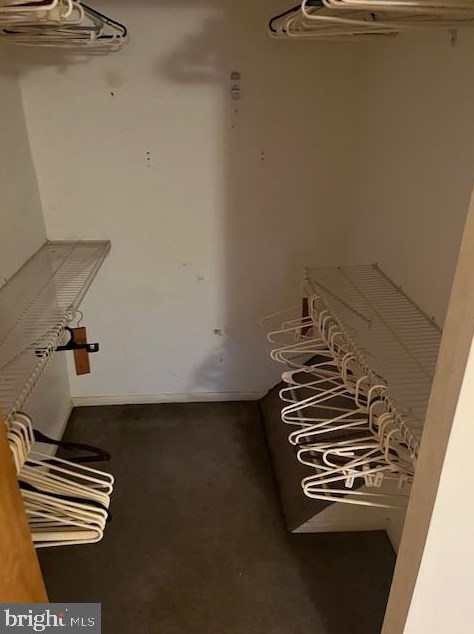 1010 Harbour Dr, Palmyra NJ  08065-1202 exterior