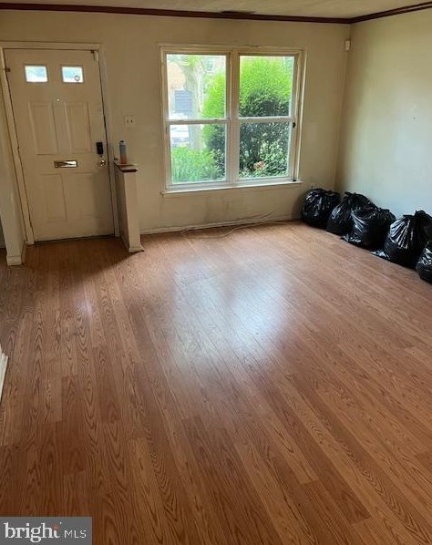 1010 Harbour Dr, Palmyra NJ  08065-1202 exterior