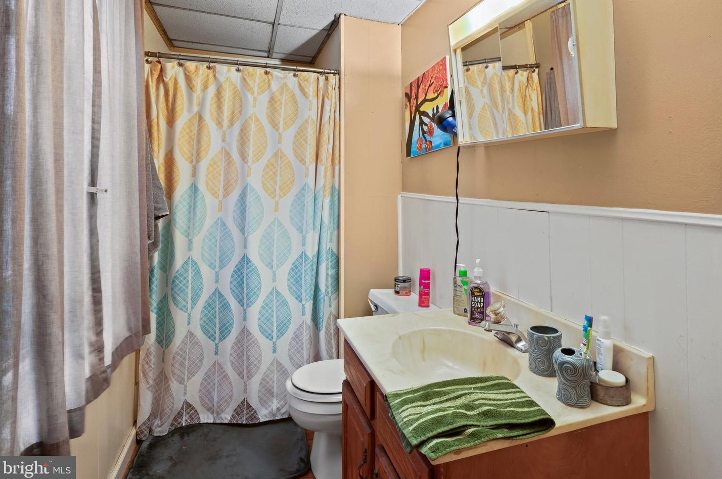 739 Cinnaminson Ave, Palmyra NJ 08065-1820 exterior