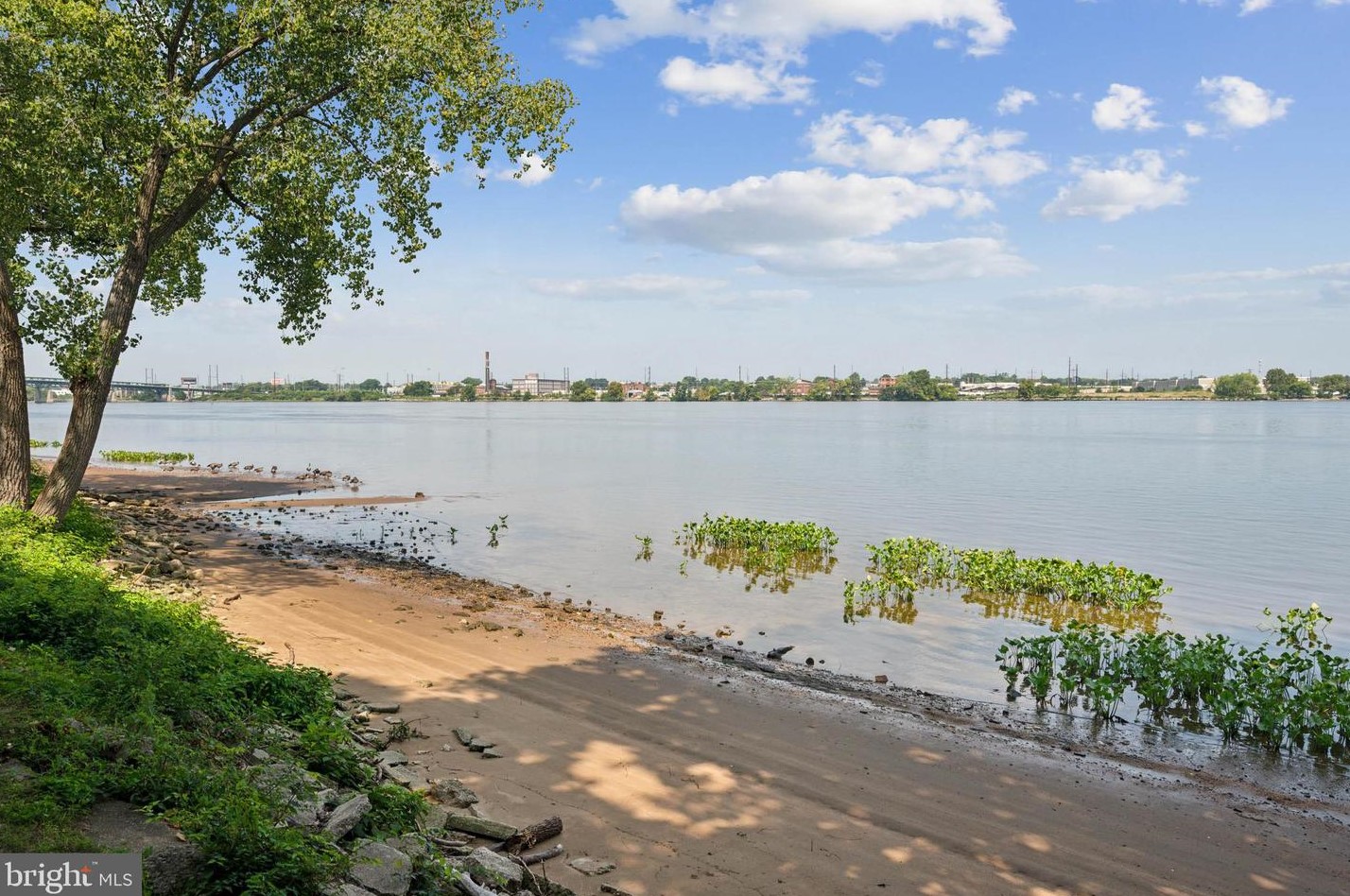 2118 Harbour Dr, Palmyra NJ 08065-1105 exterior