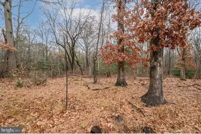 20 Buxton Court, Southampton, NJ 08088 - Photo 31