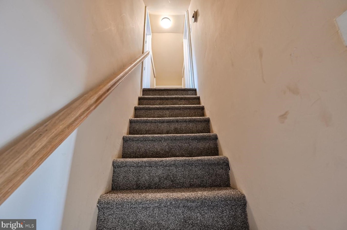 721 Florence Ave, Vineland NJ 08360-5771 exterior