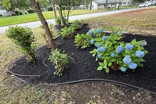 202 Patricia Ave, Millville, NJ 08332 - Photo 17