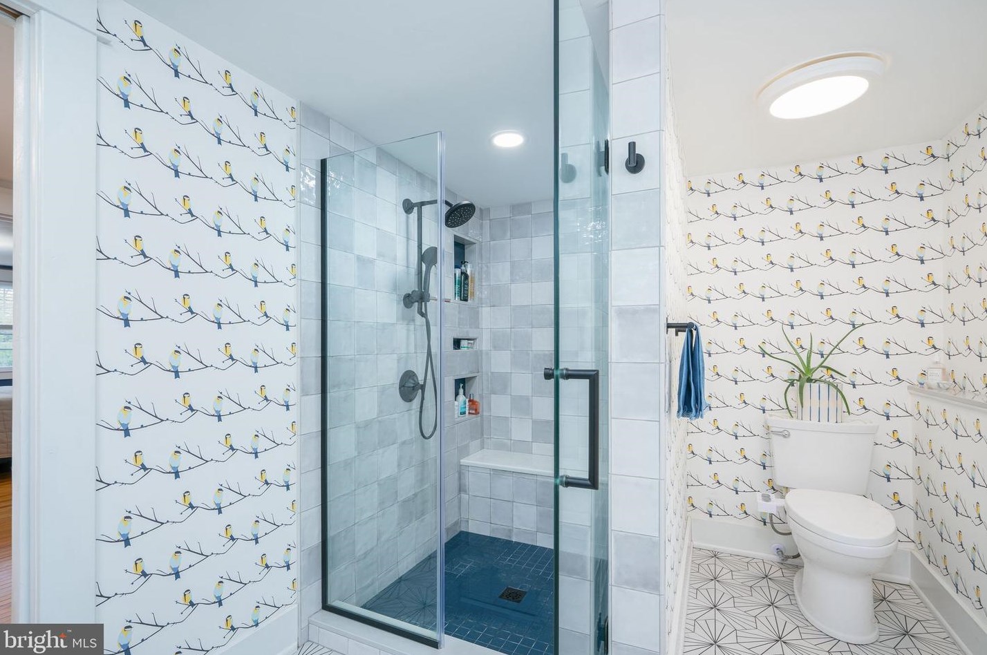 81 Chews Lndg Rd, Tavistock NJ 08033-3843 exterior