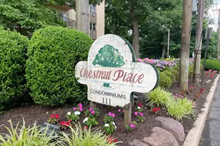 416 Chestnut St, Cherry Hill, NJ 08002 - Photo 17