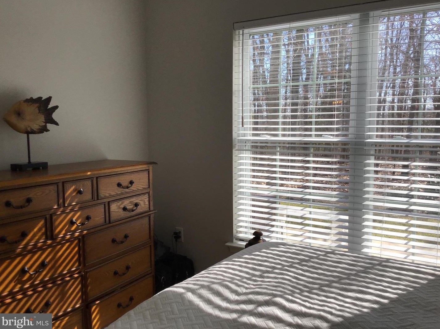 109 Heritage Loop, Aura NJ  08028-3281 exterior