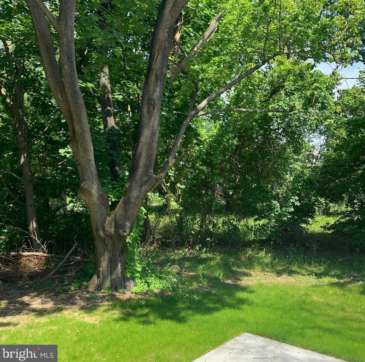 3 Cornell Rd, Aura NJ  08028-2109 exterior