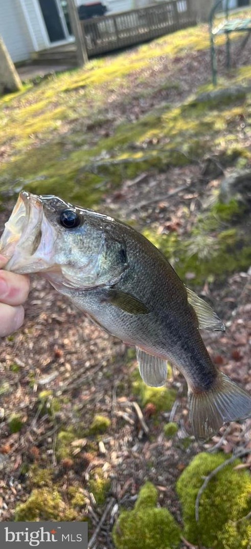 100 Red Stone Rdg, West Deptford NJ 08096-4135 exterior