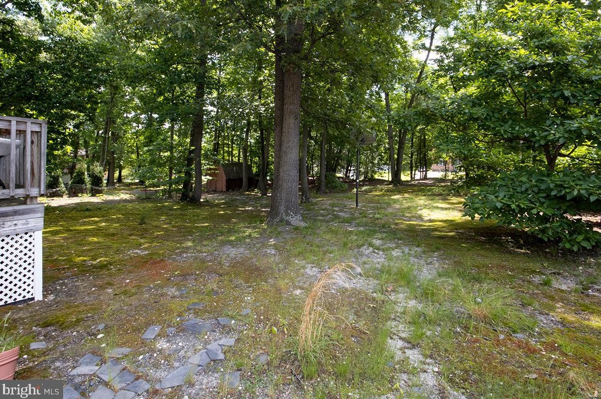 831 Canal St, Blenheim NJ 08012-1033 exterior