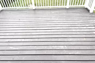 213 S Academy St, Glassboro, NJ 08028 - Photo 33