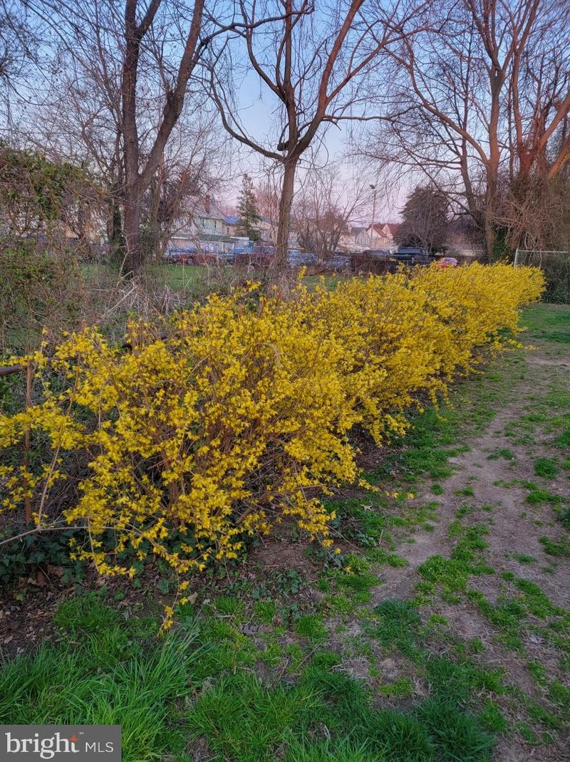 18 Ferry Rd, Pennsville NJ 08070-2059 exterior