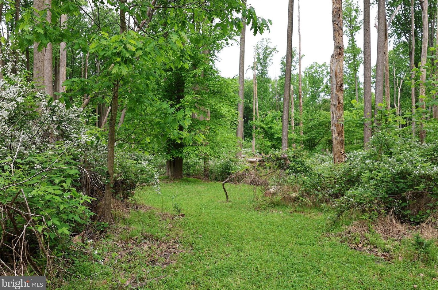 15 Commissioners Pike, Pilesgrove NJ 08098-2033 exterior