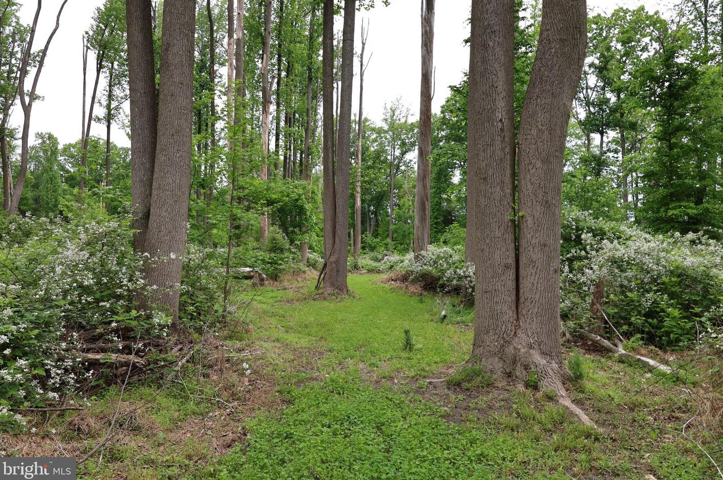 15 Commissioners Pike, Pilesgrove NJ 08098-2033 exterior