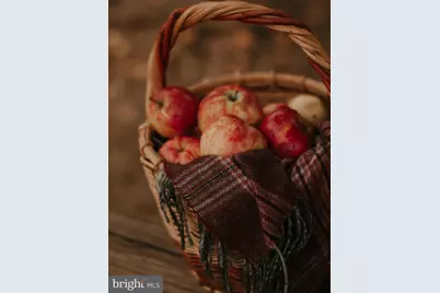 0 Old Harrisburg Road, Gettysburg, PA 17325 - Photo 33