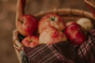 0 Old Harrisburg Rd, Gettysburg, PA 17325 - Photo 33