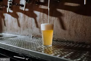 2828 Heidlersburg Rd, Biglerville, PA 17307 - Photo 29