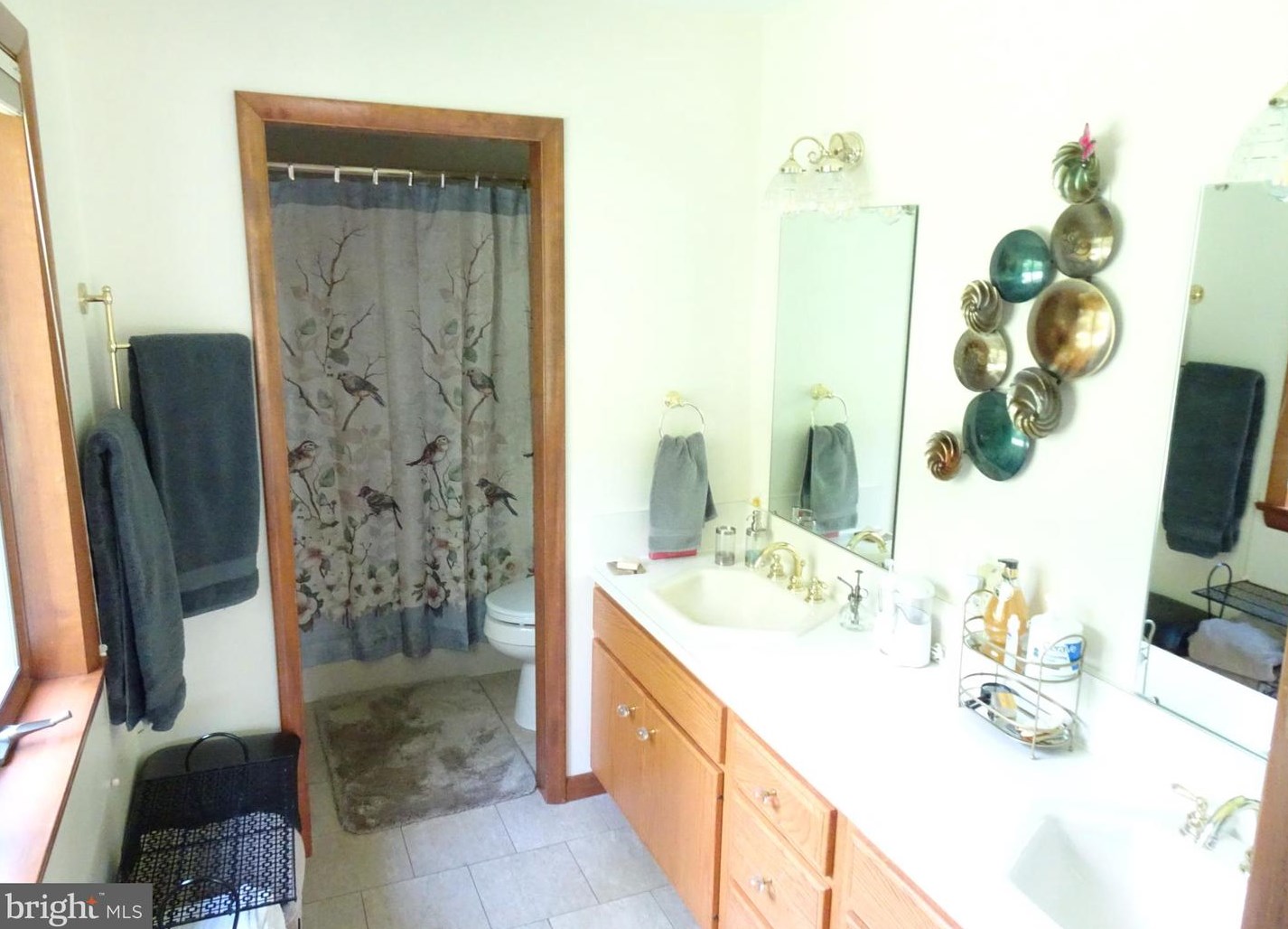 20 Raker Dr, Douglassville PA  19518-8849 exterior