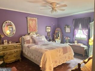 803 Burkey Dr, Reading PA  19610-1511 exterior