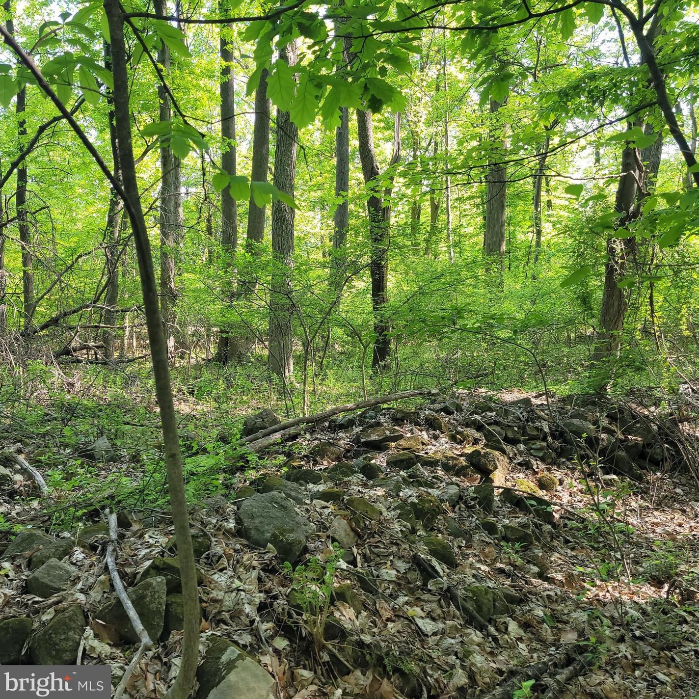 153 Mountain Mary Rd, Spangsville PA  19512-7820 exterior