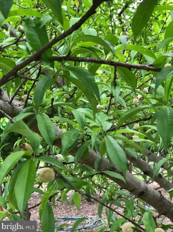 5 Emerald Ct, Upper Makefield PA  18940-2819 exterior