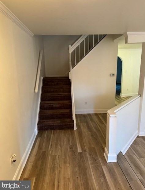 14 Colchester Pl, Upper Makefield PA  18940-1704 exterior