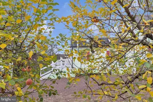 52 River Rd, Pipersville, PA 18947 - Photo 27