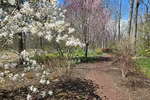 260 Cafferty Rd, Pipersville, PA 18947 - Photo 79